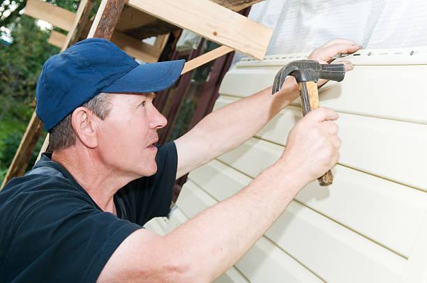 Best Brick Veneer Siding  in Dover, DE