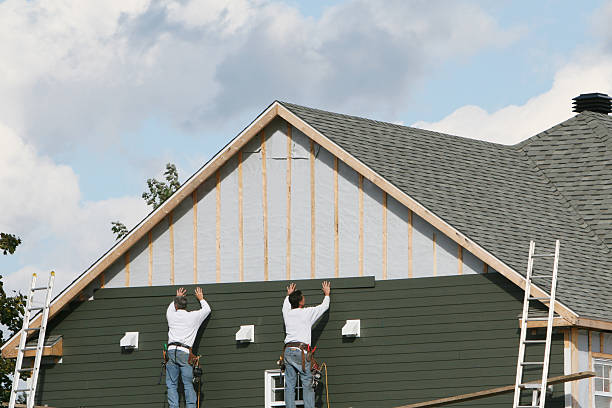 Best Siding Painting and Refinishing  in Dover, DE